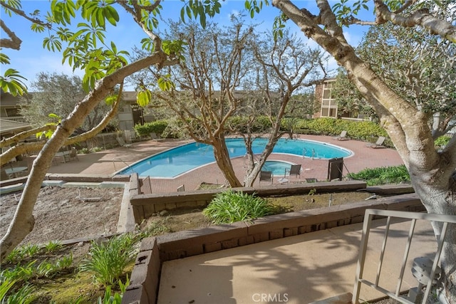 view of pool with a patio