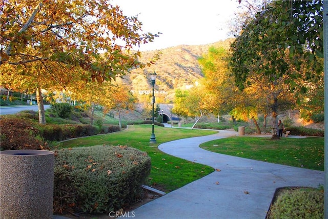 view of home's community with a mountain view and a yard