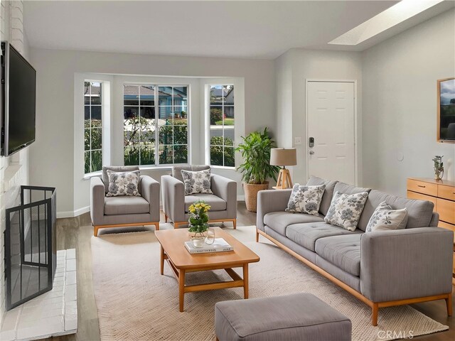 living room featuring a fireplace and light hardwood / wood-style floors