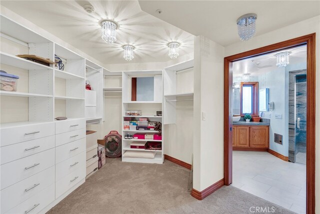 spacious closet with light colored carpet