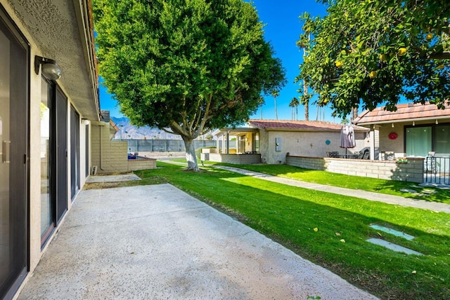 view of yard with a patio area