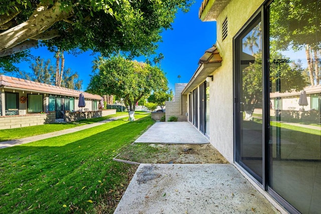 view of yard with a patio