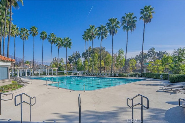 view of pool featuring a patio