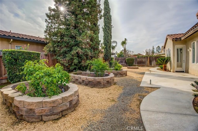 view of yard with a patio