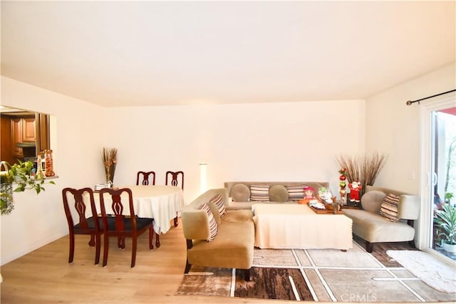 living room with light wood-type flooring