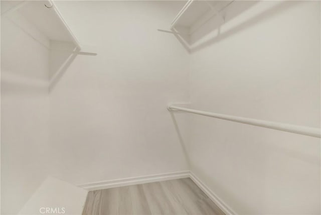 spacious closet featuring wood-type flooring