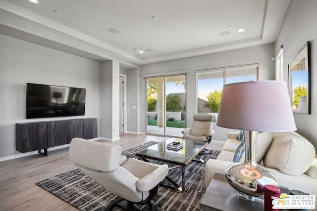 living room featuring a tray ceiling and light hardwood / wood-style floors