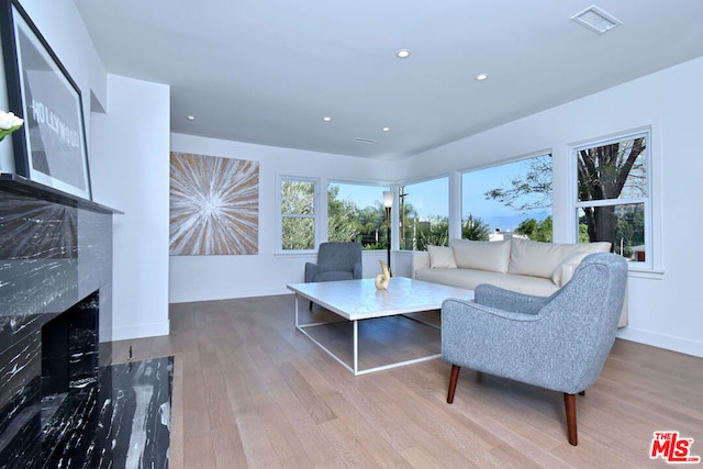 living room featuring wood-type flooring and a premium fireplace