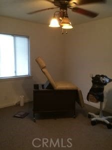 carpeted office space featuring ceiling fan