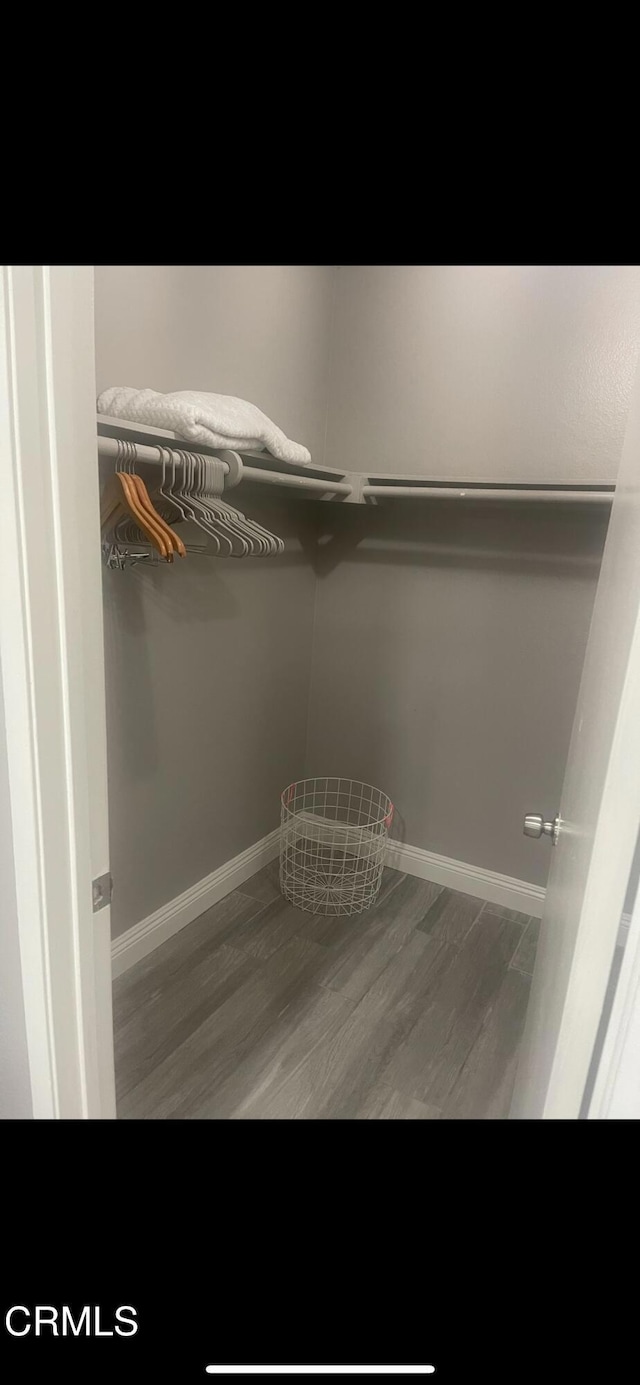 spacious closet with hardwood / wood-style flooring