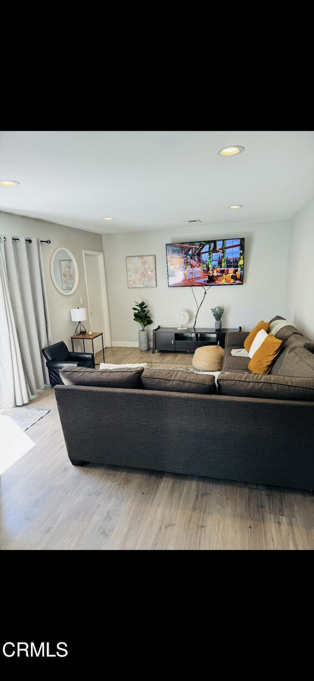 living room featuring hardwood / wood-style floors