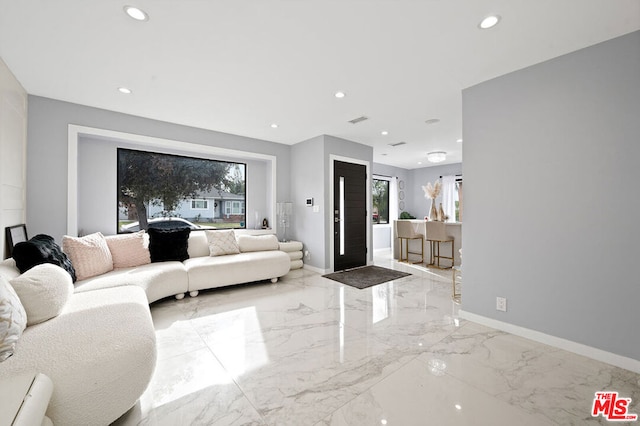 living room with a wealth of natural light