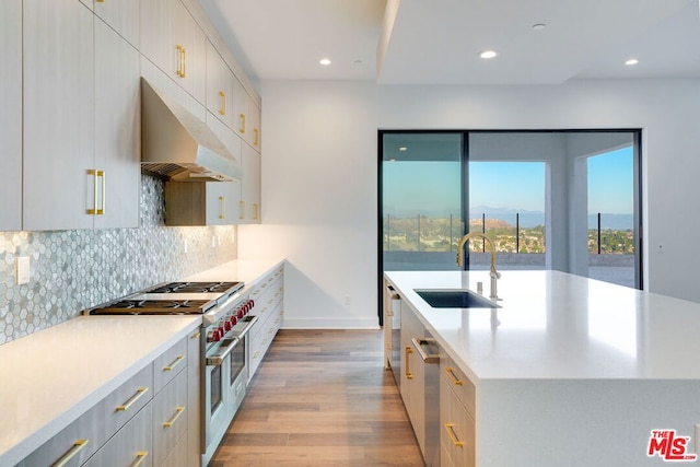 kitchen with an island with sink, stainless steel appliances, decorative backsplash, light hardwood / wood-style flooring, and sink