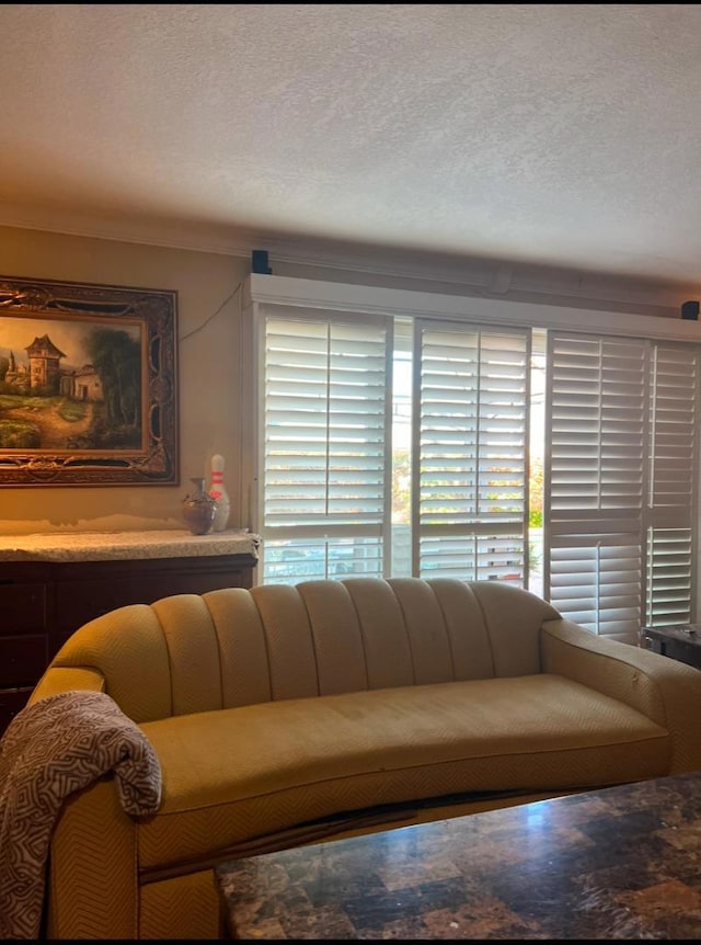 living room with a textured ceiling