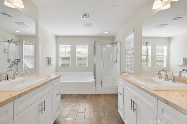 bathroom with visible vents and a sink