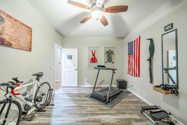 workout area featuring wood-type flooring and ceiling fan