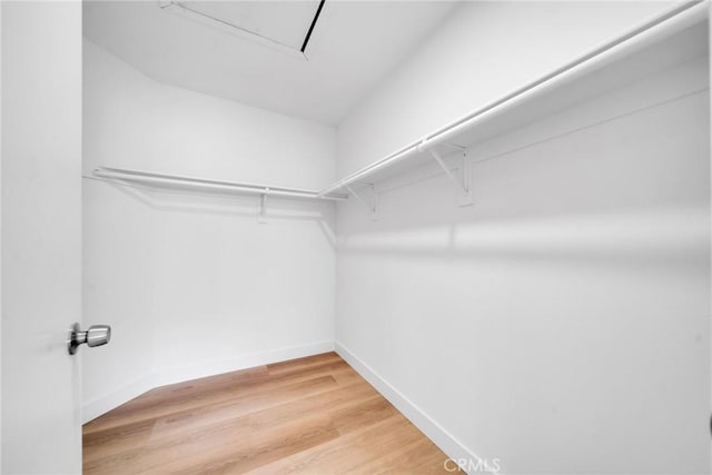 spacious closet featuring hardwood / wood-style flooring