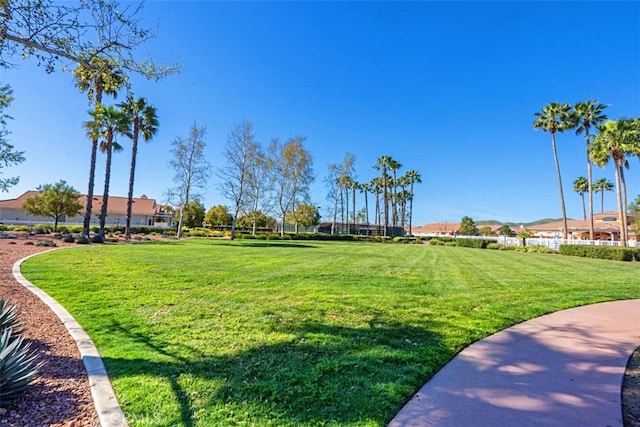 view of community featuring a lawn