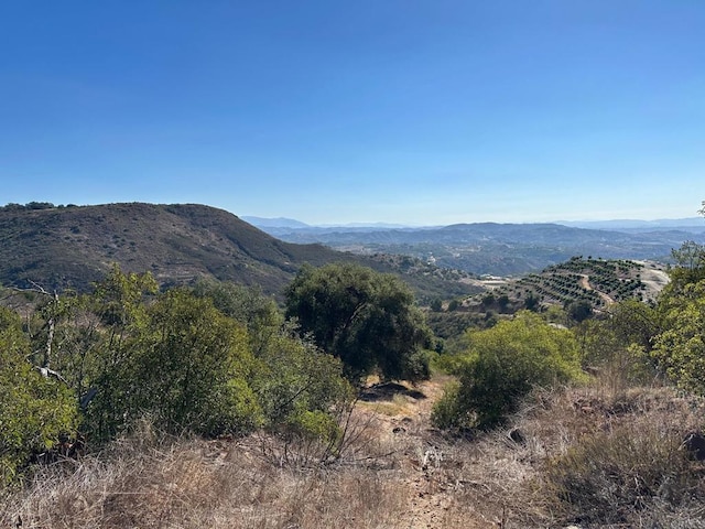 26029 El Calamar, Temecula, CA 92590