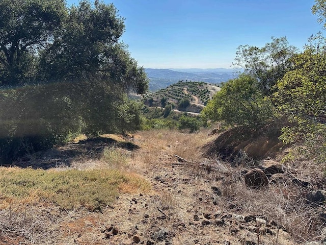 26029 El Calamar, Temecula, CA 92590