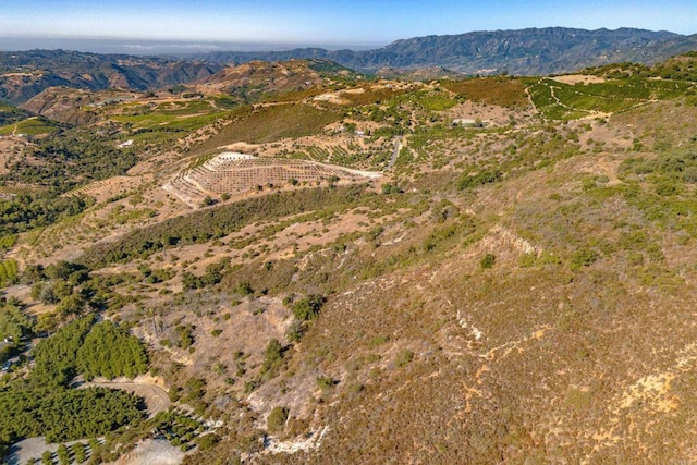 26029 El Calamar, Temecula, CA 92590