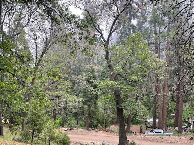 628 Burnt Mill Canyon Rd, Cedarpines Park CA, 92322 land for sale