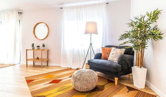 sitting room featuring wood-type flooring