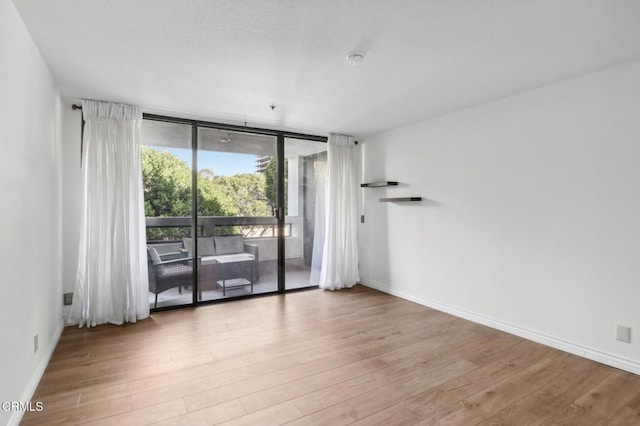 empty room featuring light wood-type flooring