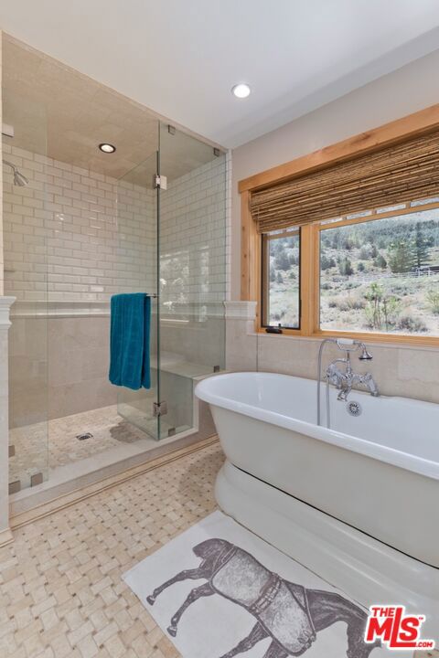 bathroom with shower with separate bathtub