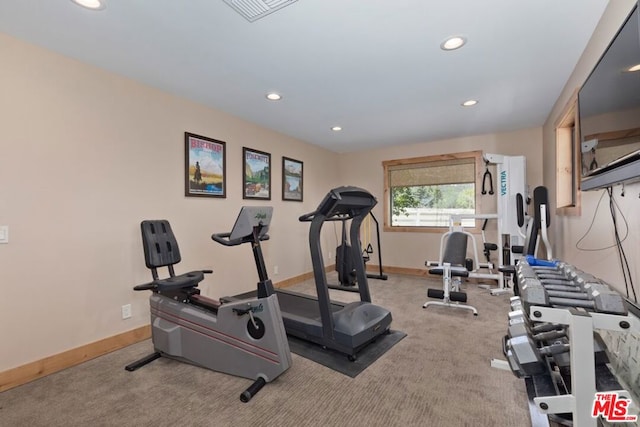 exercise area with carpet flooring