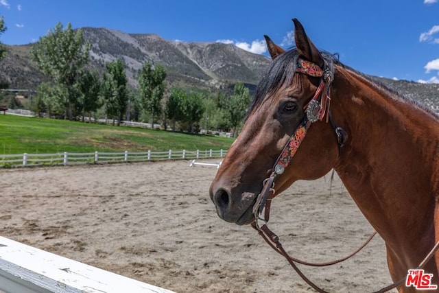 view of horse barn with a mountain view