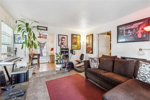 living room with a healthy amount of sunlight