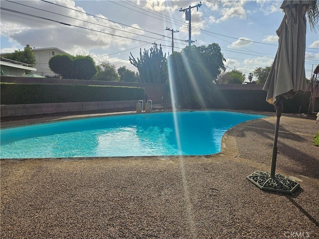 view of pool with a patio