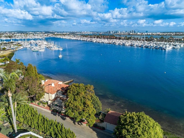 aerial view featuring a water view