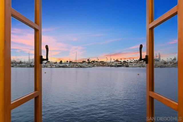 dock area featuring a water view