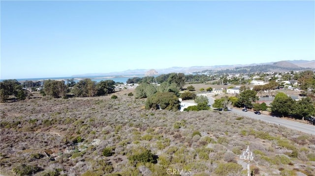 781 Los Osos Valley Rd, Los Osos, CA 93402 - photo 5