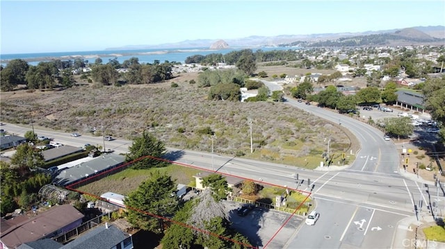 781 Los Osos Valley Rd, Los Osos, CA 93402 - photo 8