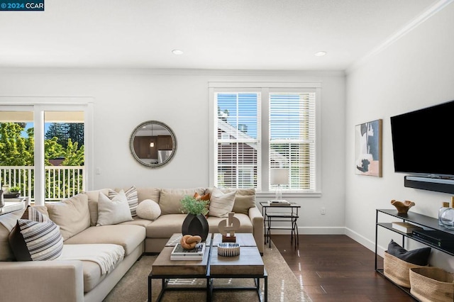 living room with plenty of natural light, dark hardwood / wood-style floors, and crown molding