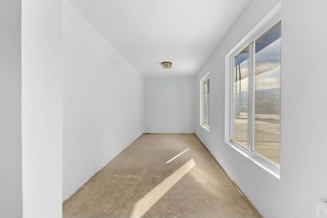 hall with concrete flooring and a wealth of natural light