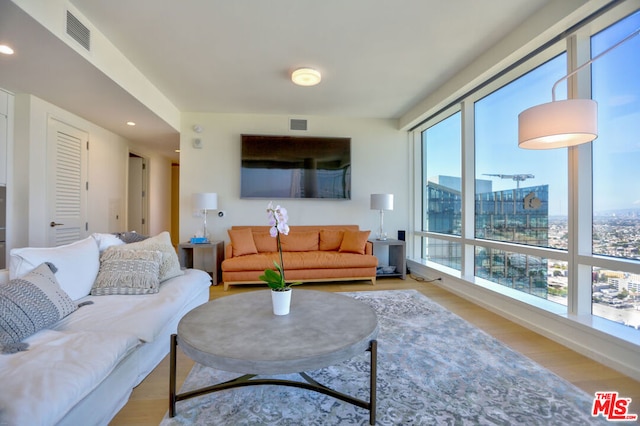 living room with light hardwood / wood-style flooring and a healthy amount of sunlight