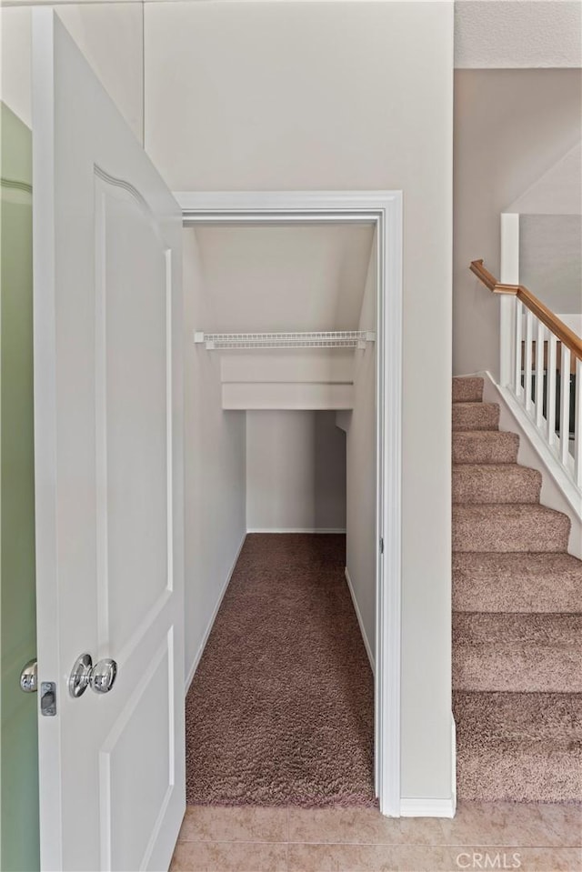 stairway featuring carpet