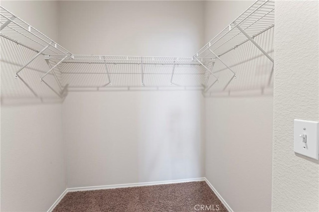 spacious closet featuring carpet floors