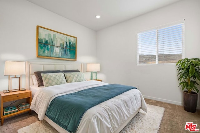 bedroom featuring carpet flooring