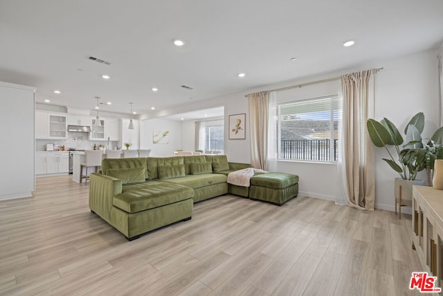 living room featuring light hardwood / wood-style floors