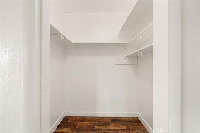 spacious closet with dark hardwood / wood-style floors