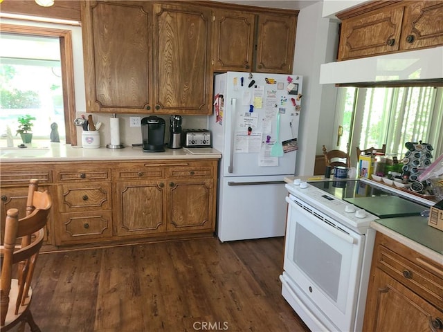 kitchen with plenty of natural light, dark wood-type flooring, and white appliances