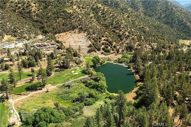 birds eye view of property featuring a water and mountain view