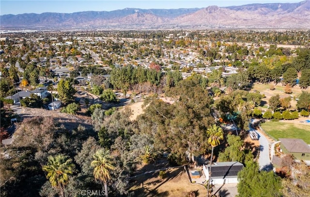 birds eye view of property featuring a mountain view