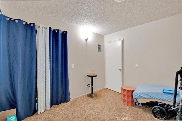 carpeted bedroom with a textured ceiling