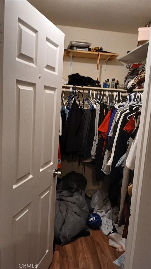 spacious closet featuring wood-type flooring